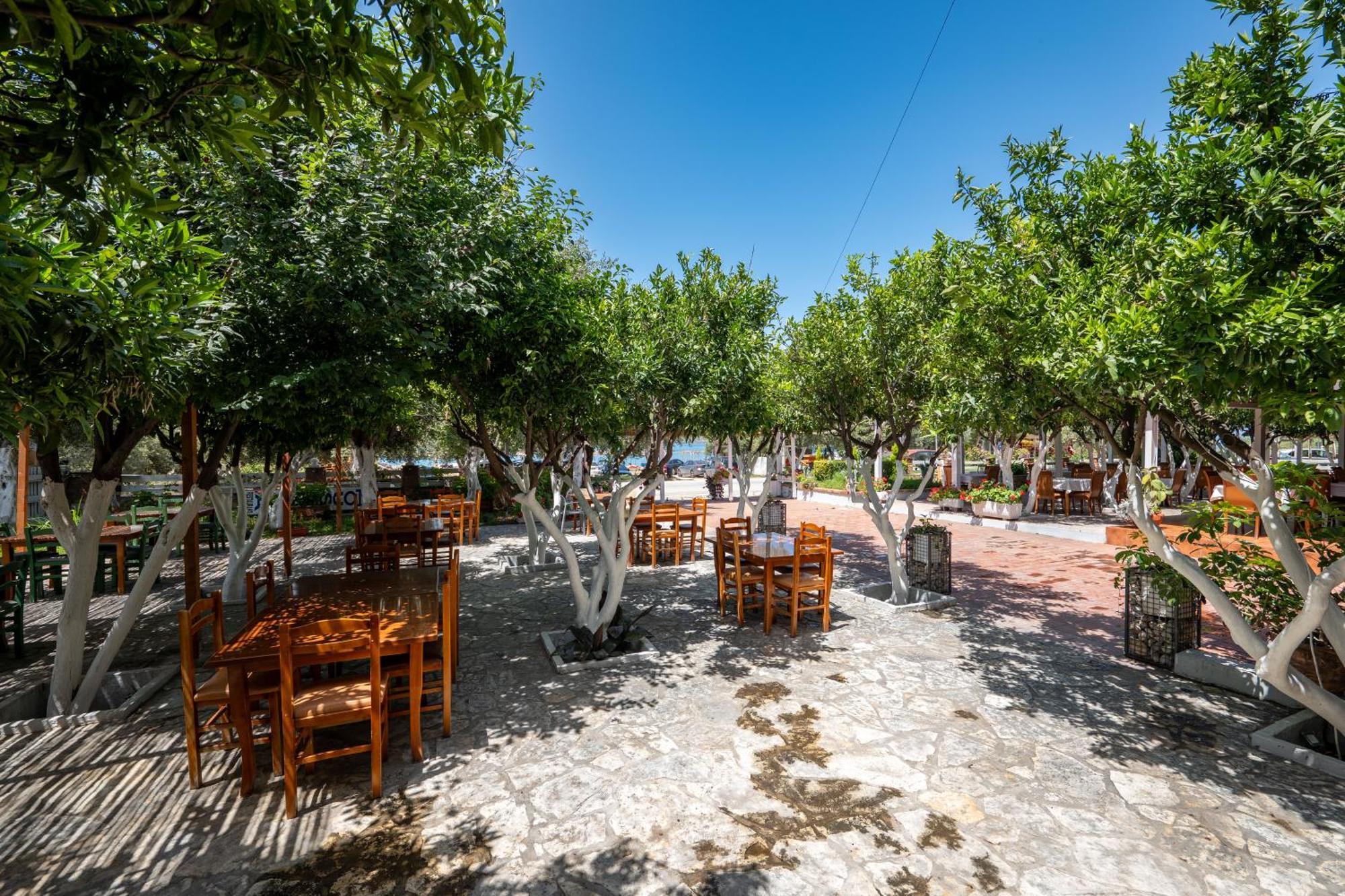 Hotel Nika Радима Экстерьер фото